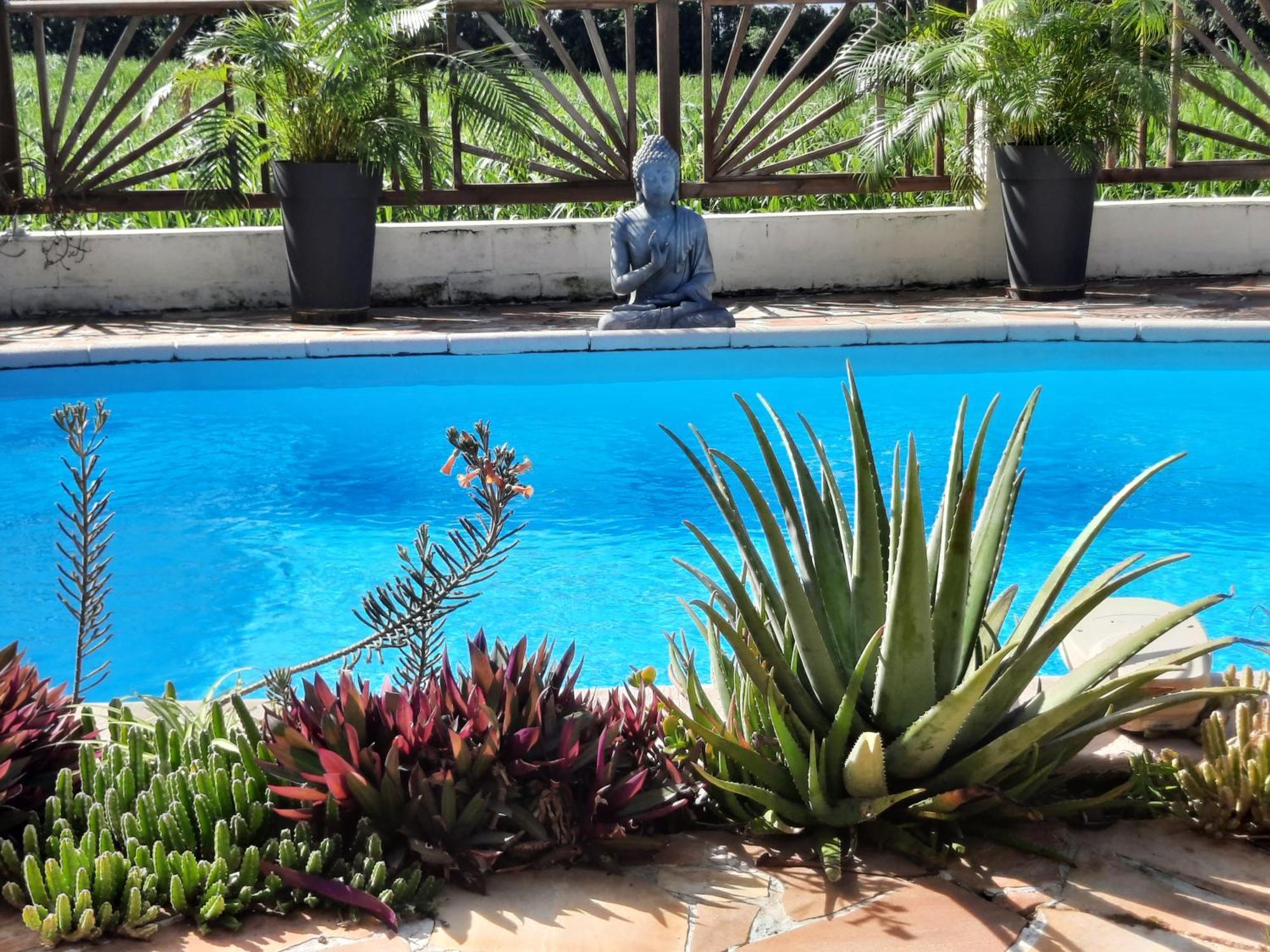 Joli Appartement, Piscine, Jacuzzi Sainte-Suzanne Extérieur photo